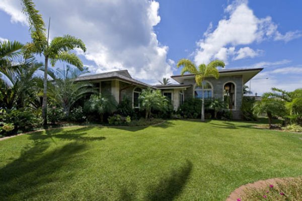 Open lawn framed by palms